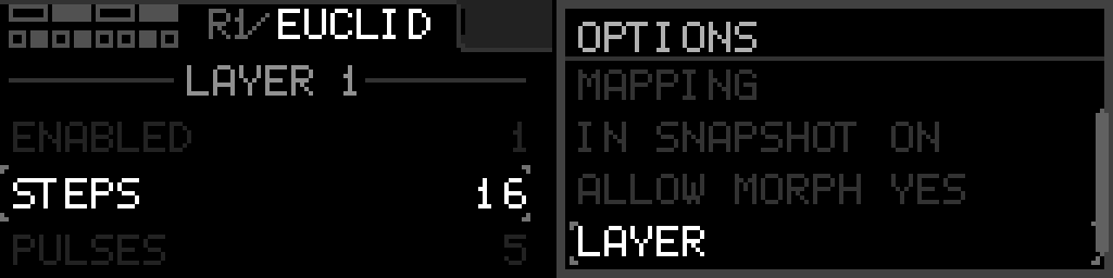 Euclid Options with the LAYER row