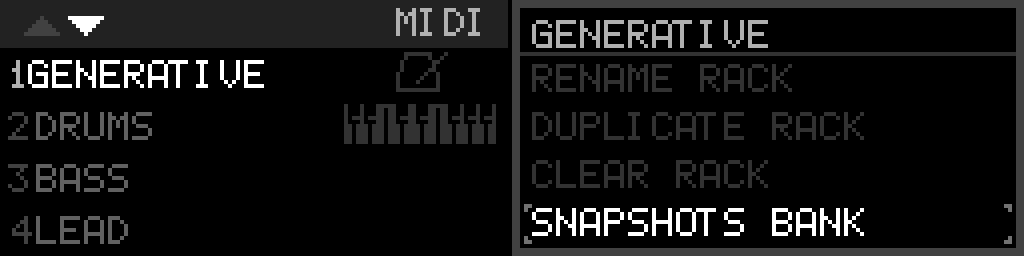 SNAPSHOTS BANK on the rack side menu